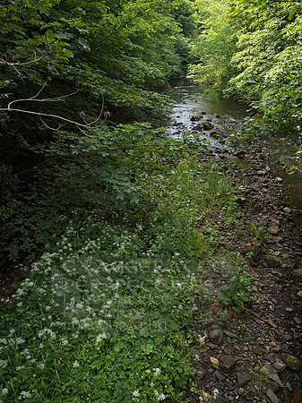 P6240029_Export