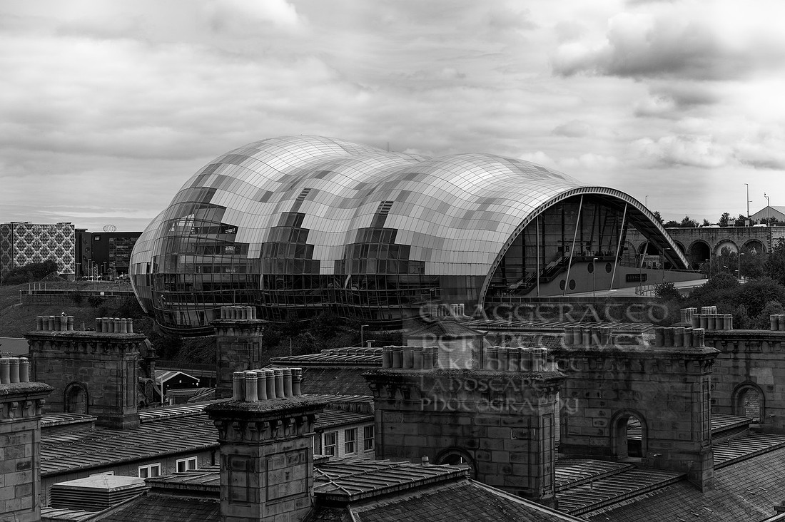 _1000068_DxO-1
