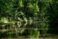 _1000057_DxO