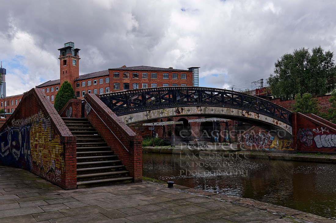 _1000195_DxO