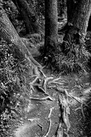 _1000029_DxO