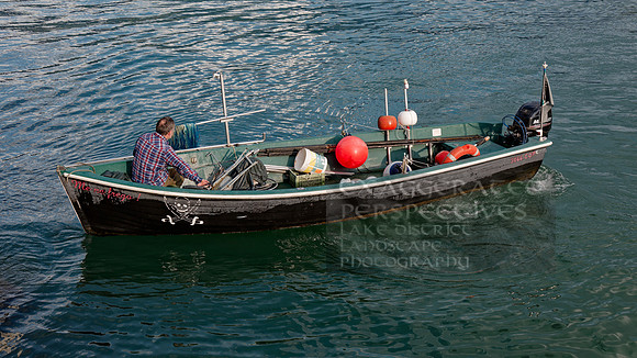 _1000041_DxO