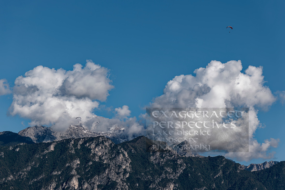 _1000391_DxO