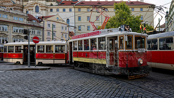 _1000522_DxO