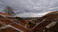_1000627_DxO