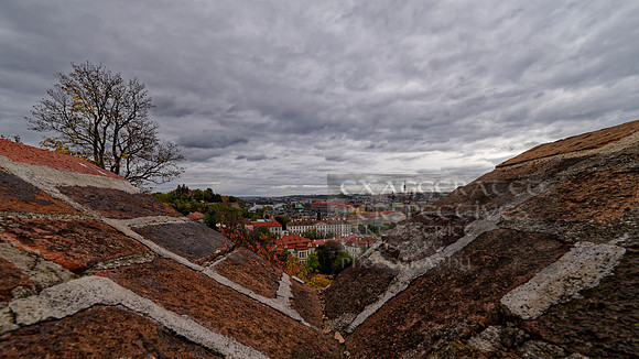 _1000627_DxO