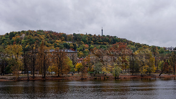 _1000638_DxO