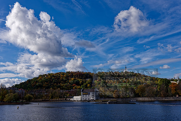 _1000677_DxO