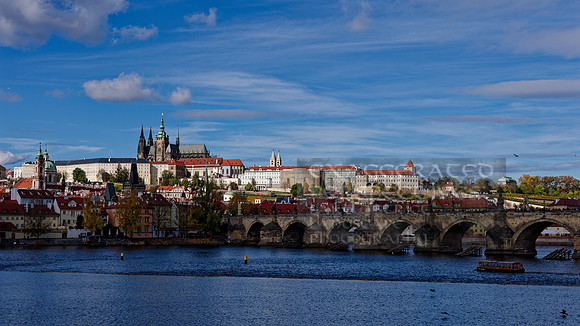 _1000681_DxO