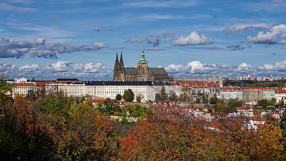 _1000690_DxO