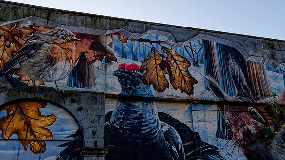 _1000287_DxO