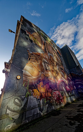 _1000285_DxO