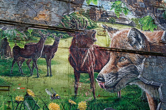 _1000290_DxO