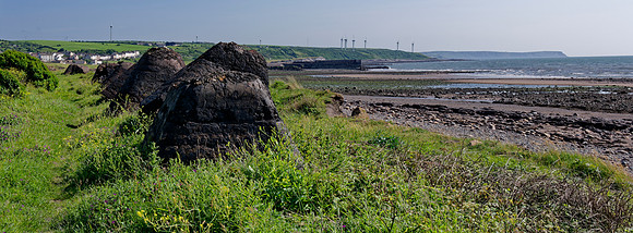 _1000117_DxO