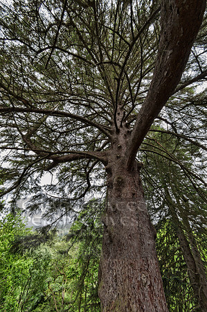 Lake district landscape photography