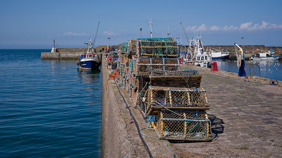_DSF0338_DxO