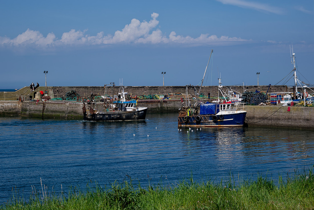 _DSF0337_DxO