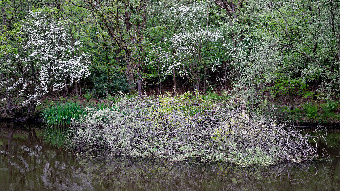 _DSF0236_DxO