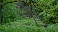 _DSF0169_DxO