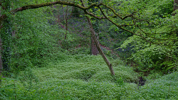 _DSF0169_DxO