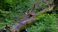 _DSF0167_DxO