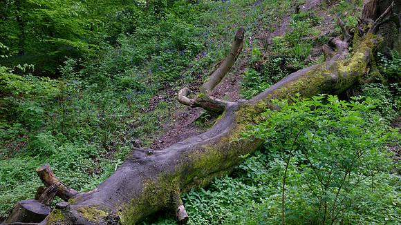 _DSF0167_DxO