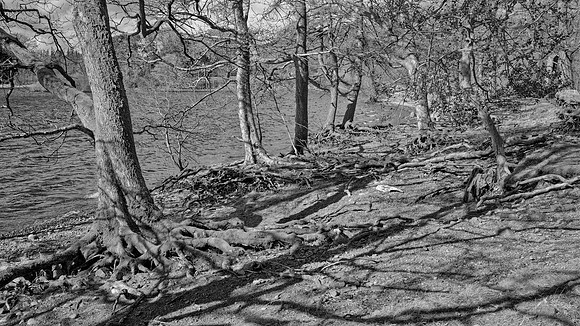 _DSF0023_Nik_DxO