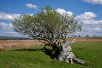 _DSF0065_DxO