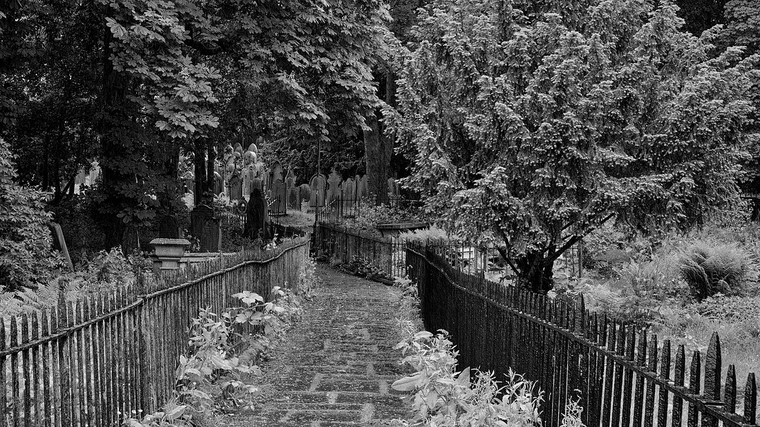_DSF0405_Nik_DxO