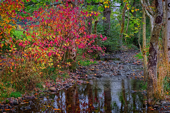 Lake district landscape photography
