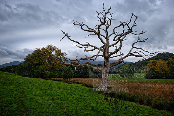 Lake district landscape photography