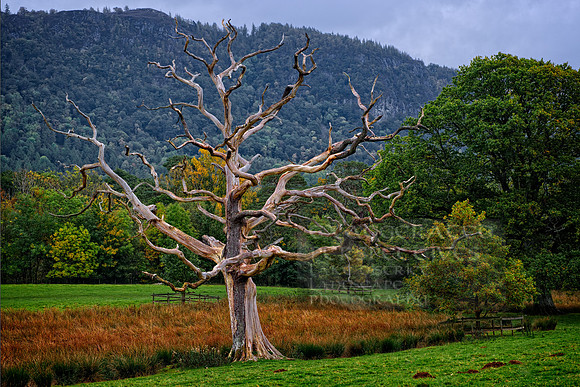 Lake district landscape photography