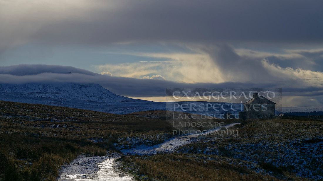 _OZ81374_DxO