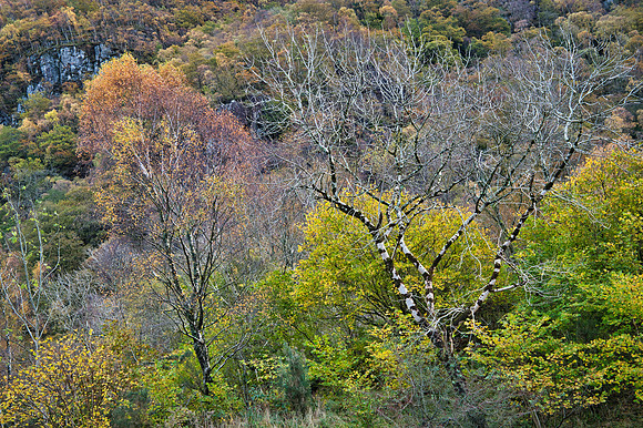 Autumns here Bowderstone