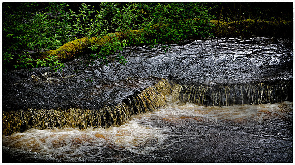 _1000061_Nik_DxO