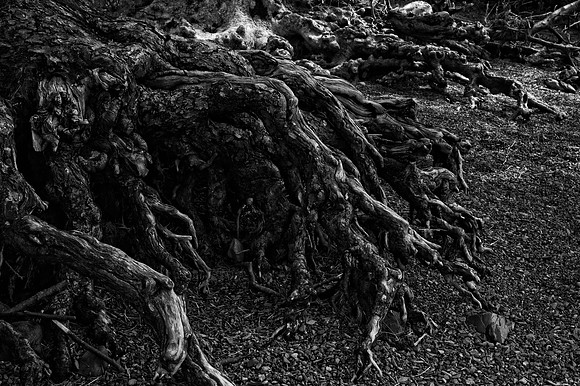 Lake district landscape photography