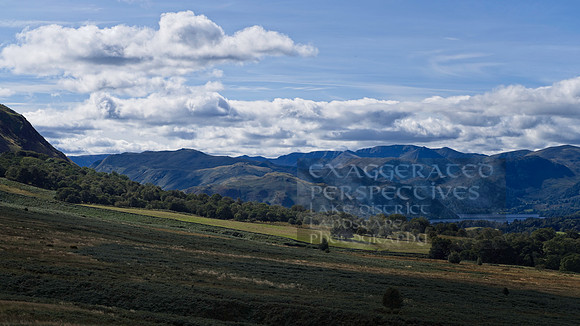 _DSC0152_Export
