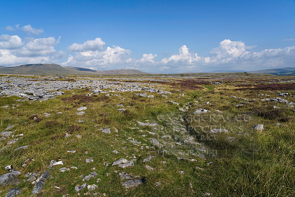 _DSC0050_Export