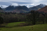 Skelatal trees and Snowy tops