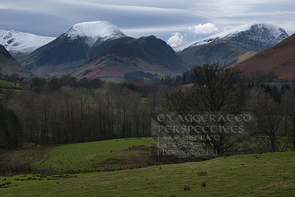 Skelatal trees and Snowy tops