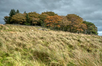 Copse Housteads