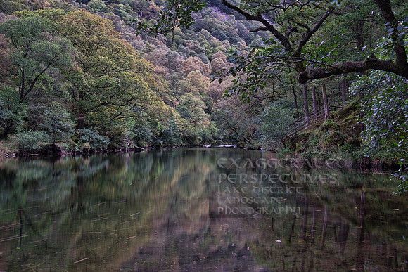 Serene Borrowdale Valley