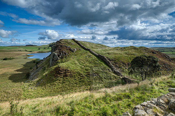 Above sycamore gap