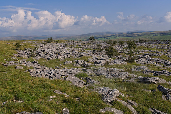 _DSC0043_Export 1