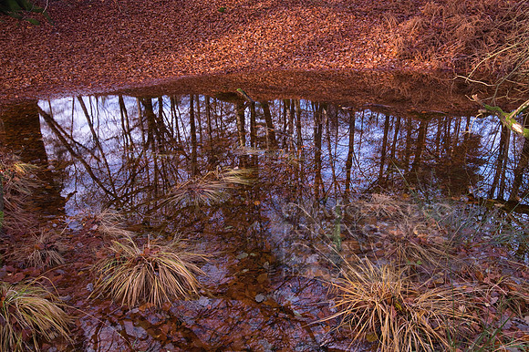 Time to Reflect