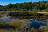 Stone Chair Hill Tarn Hows