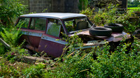 Cortina (e) state Thornby lockdown