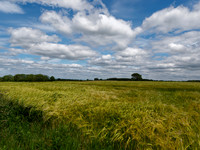 Crop factor Lockdown Great Orton