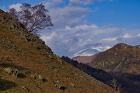 Clinging Castle crag