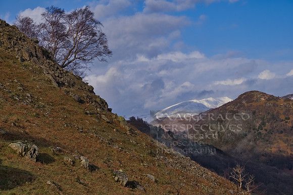 Clinging Castle crag